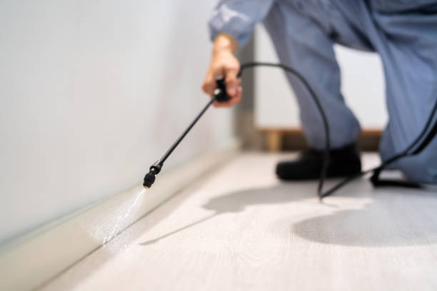 Licensed Termite Control service in Brooklyn Center, MN - Nex Pest Control