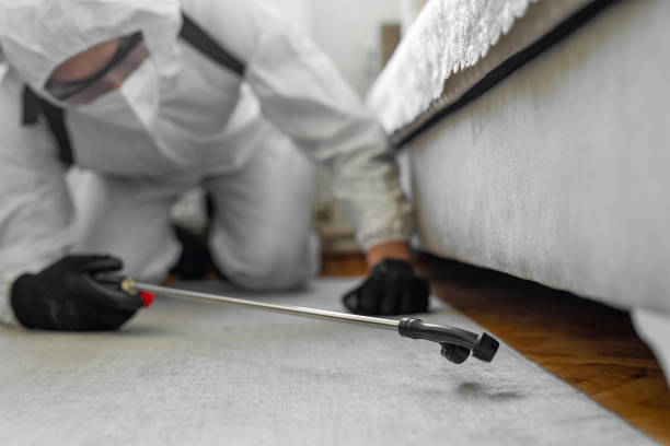 Professional Termite Control technician working in Brooklyn Center, MN