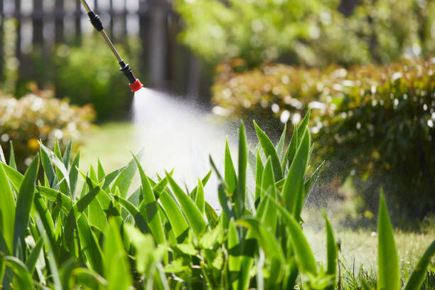24/7 Emergency Termite Control experts in Brooklyn Center, MN