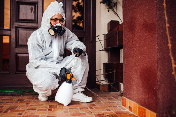 Reliable Termite Control contractor in Brooklyn Center, MN by Nex Pest Control