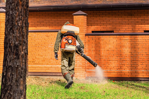 Top rated local Termite Control specialists in Brooklyn Center, MN